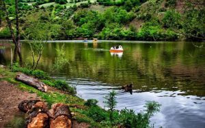 دریاچه شورمست فیروزکوه عکس 2