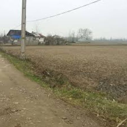 فروش زمین کشاورزی ۷۰۰ متری الودر