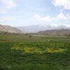 خرید زمین ۲۰۰۰ متری در ارجمند