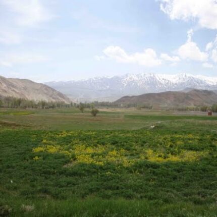 خرید زمین ۲۰۰۰ متری در ارجمند
