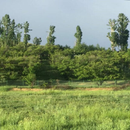 خرید زمین ۲۰۰۰ متری ارجمند