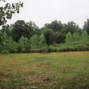 خرید زمین کشاورزی اطراف تهران