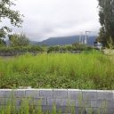 خرید باغ اطراف تهران