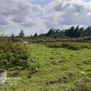 ۱.۵ هکتار باغ میوه