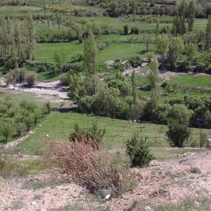 فروش زمین در آسور