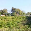 فروش چند قطعه زمین مناسب باغ و ویلا