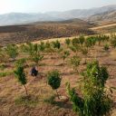 خرید زمین فیروزکوه