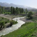 باغ 1.5 هکتاری با قابلیت افزایش با درخت کاری