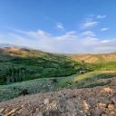 فروش زمین کشاورزی در دشت چزکین