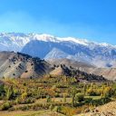 1310متر باغ میوه ارجمند