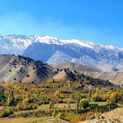 1310متر باغ میوه ارجمند