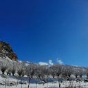 ۱ هکتار زمین زراعی در ورسخوران