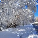 زمین واقع در روستای سله بن