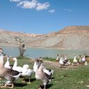 فروش ملک داخل بافت روستای بهان