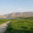 زمین مسکونی روستای طارس