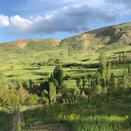 زمین کشاورزی و باغی متری ۵۵۰ هزار