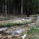 خرید باغ اطراف تهران