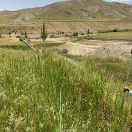 باغچه دهین فیروزکوه