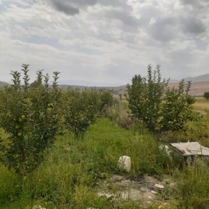 باغ 1400 متری در فیروزکوه