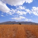 فروش زمین در روستای ییلاقی آسور
