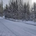 خرید زمین 1000 متری در سله بن