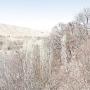 زمینی به مساحت ۱۱۳۵ متر