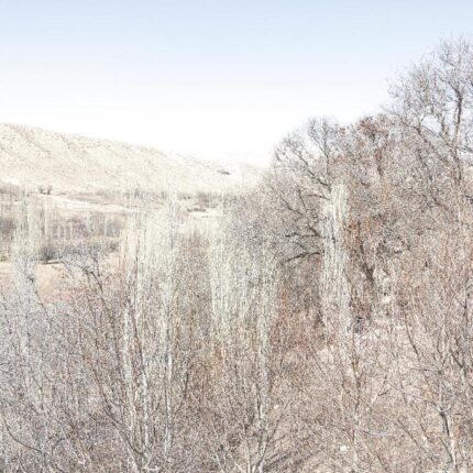 زمینی به مساحت ۱۱۳۵ متر