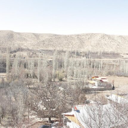 باغ با درختان مثمر و سند تک برگ