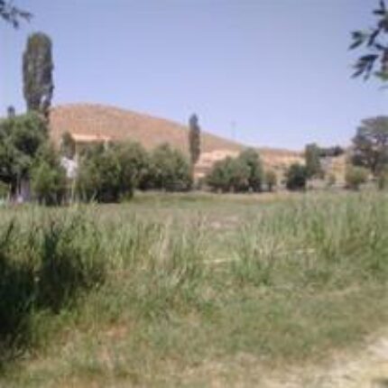 1340 متر زمین کشاورزی