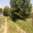 زمین 17 هکتاری آندریه