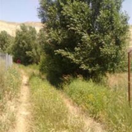 زمین 17 هکتاری آندریه