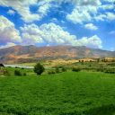 خرید زمین 2000 متری سله بن