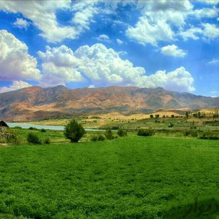 خرید زمین 2000 متری سله بن