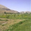 زمین کشاورزی در فیروزکوه