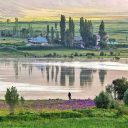 1000 متر زمین سند تک برگ